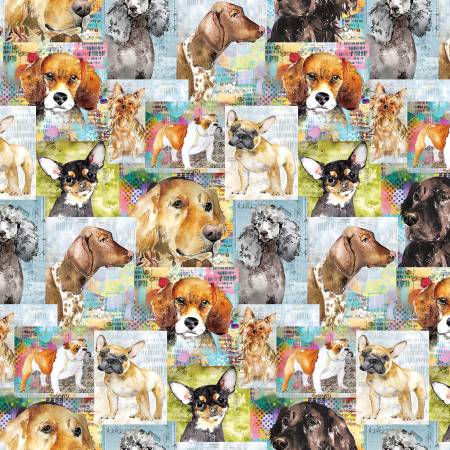 [Y4281-55] Multi Color Best Friends Digital Collage