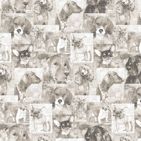 [Y4281-62] Taupe Best Friends Digital Collage