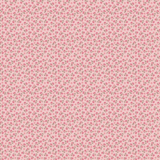 [C13594-FROSTING] Home Town Bodell Frosting