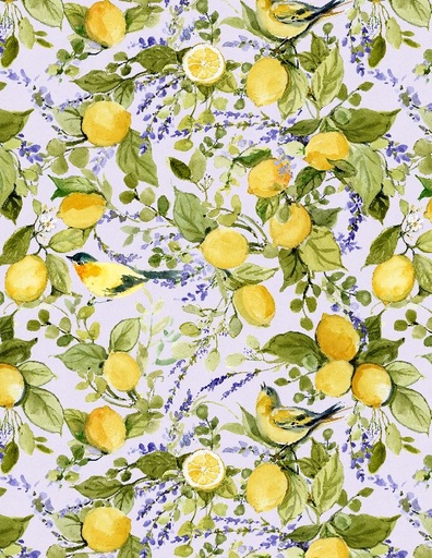 [3023 39883 657] Lavender Lemonade Large All Over Lavender