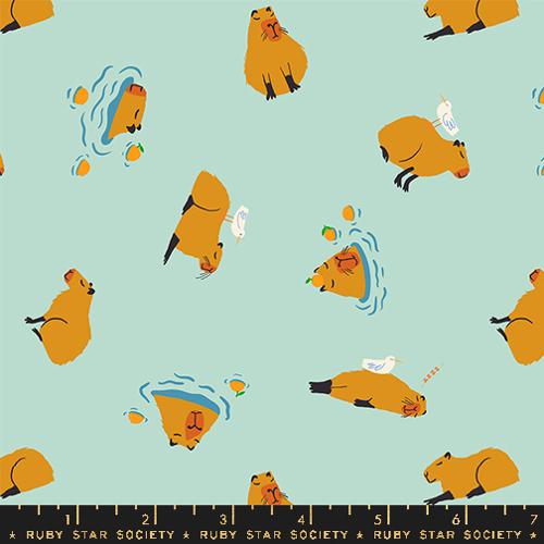 [RS5164 13] Animal Animal Minty Capybara