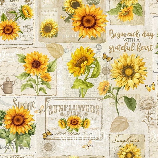 [FLEUR-CD3360 BEIGE] Sunflower Farm Collage