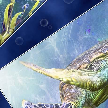 [1649 29432 N 15O] Turtle Odyssey Tossed Patches
