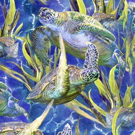 [1649 29433 Y 15O] Turtle Odyssey Sea Turtles