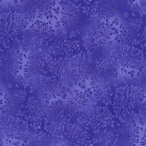 [EYJ-5573-220 PANSY] Fusions Pansy*