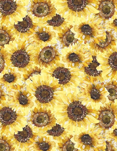 [3041 17792 552] Sunflower Sweet Packed Multi