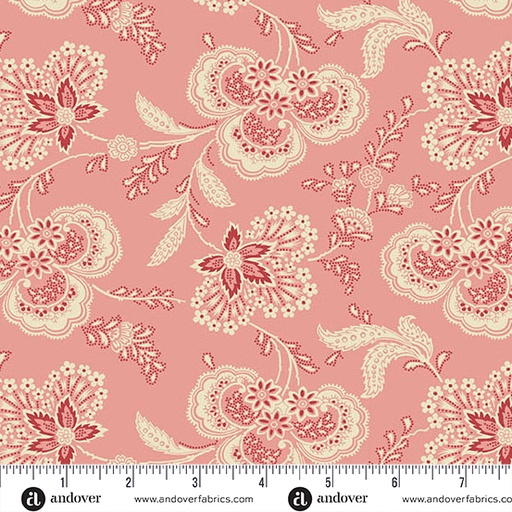 [A-1475-E] Lighthouse Cherry Ice Cream Allium