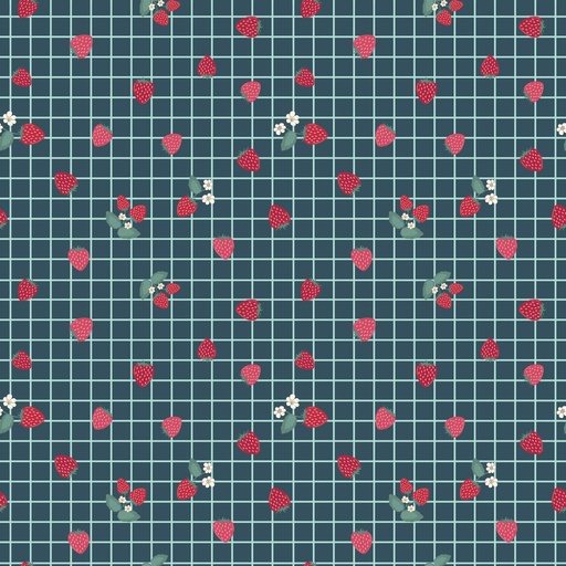 [C15747-STARGAZER] Berry Market Gingham Berries Stargazer
