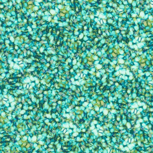 [SRKD-23082-213] Bella Blossoms Teal