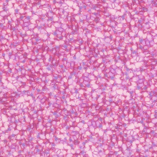 [SRKD-23082-19] Bella Blossoms Orchid