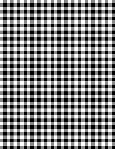 [1817-39162-199] Essentials Gingham White/Black*