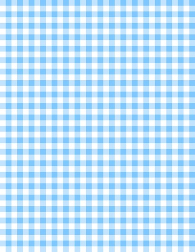 [1817-39162-141] Essentials Gingham White/Baby Blue*