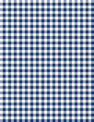 [1817-39162-144] Essentials Gingham White/Navy*