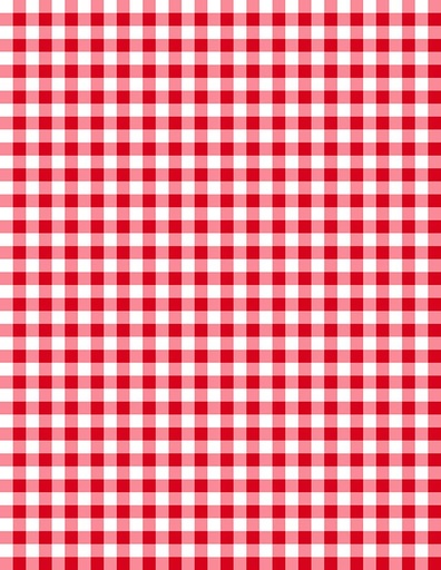 [1817-39162-133] Essentials Gingham White/Red*