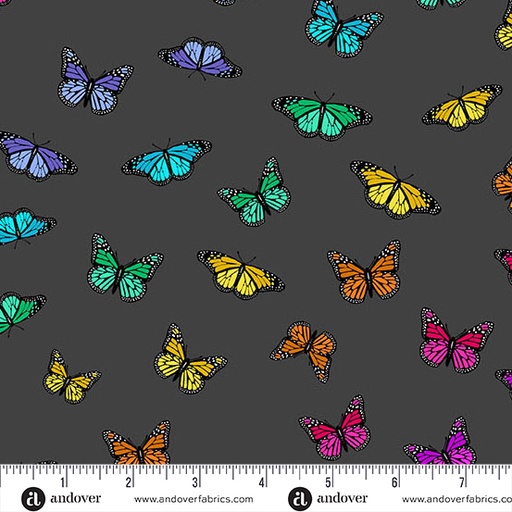 [A-1443-K] Color Wheel Night Butterfly Rainbow