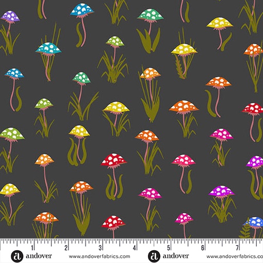 [A-1444-K] Color Wheel Night Mushroom Parade