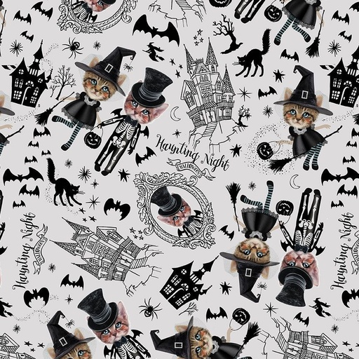 [BOO-CD3429 GREY] Costumed Kittens