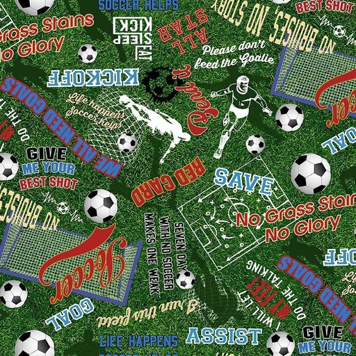 [GAIL-CD3011 GREEN] Soccer Words on Grass