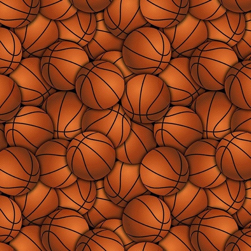 [GAIL-CD3019  ORANGE] Packed Basketballs