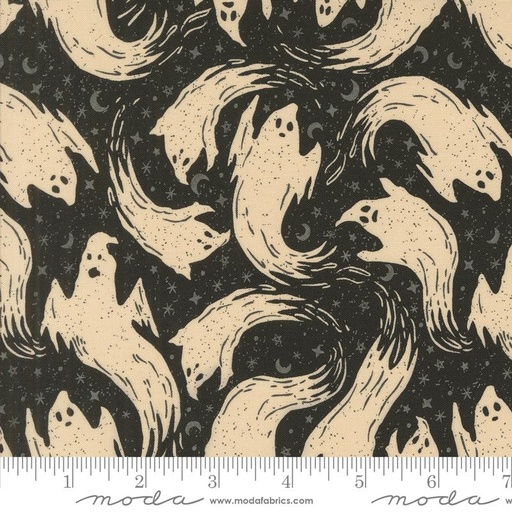 [20914 17] Home Sweet Haunt Ghosts Midnight