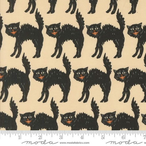 [20915 11] Home Sweet Haunt Little Black Cat Bone