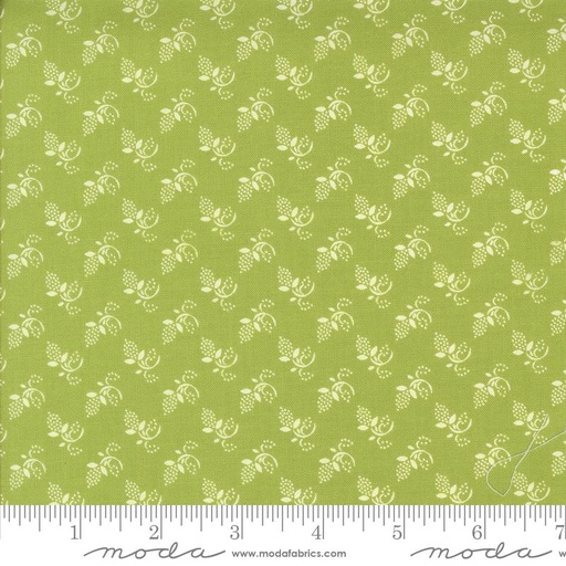 [35404 15] Buon Natale Cedar