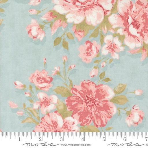 [44390 12] Muse Rose Garden Sky