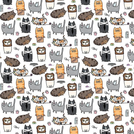 [CAT-CD2954] Silly Kitties