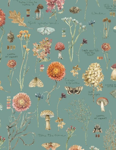 [3041 17835 434] Season's Study Large Teal