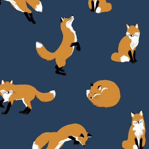 [COSAP51102-2D] Cat & Fox