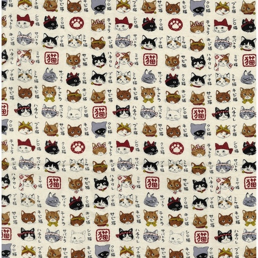 [KOKYPA-56030-2-A] Animal Dictionary Cats