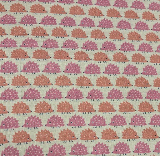 [850491-1-3] Sevenberry Hedgehogs In Rows Canvas