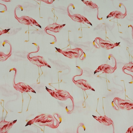 [S-4235-1-1] Sevenberry Flamingos
