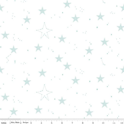 [C16957-STARS] Hush Hush 5 Wish Upon A Star