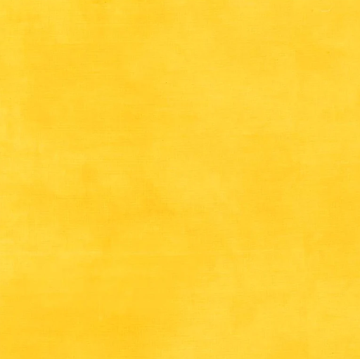 [37098-117] Palette* Lemon Zest