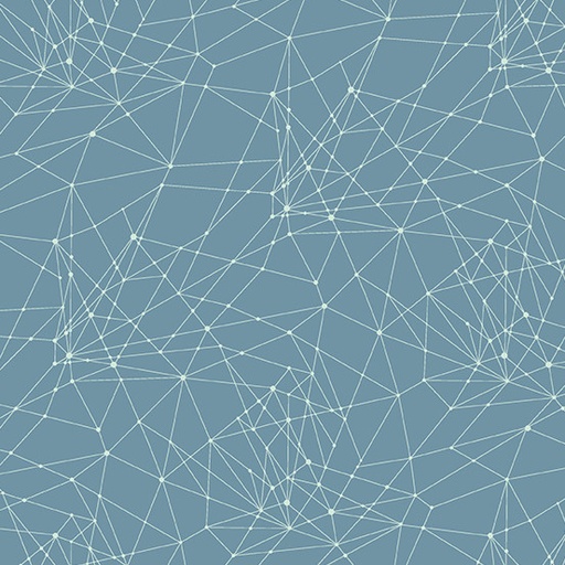 [A9979B] Fabrics from the Attic