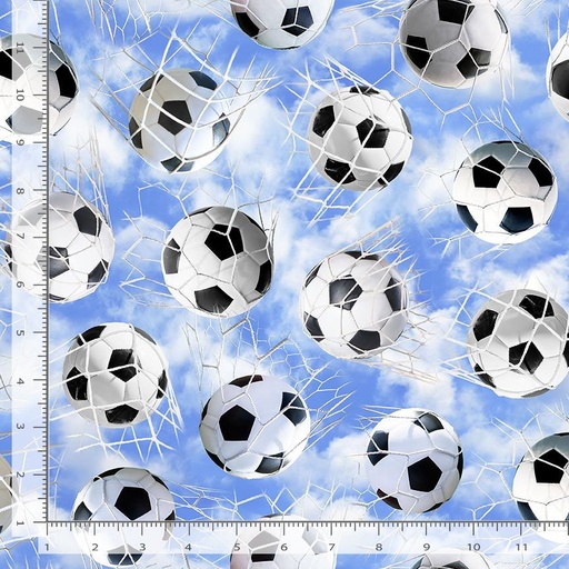 [SPORT-CD3836 BLUE] Soccer Balls in Nets