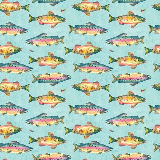 [STELLA-DKS3334 AQUARIUS] Trout