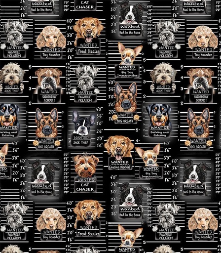 [GAIL-CD3888 BLACK] Dog Mugshots