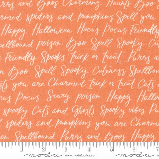 [39062 14] Purrs and Boos Spooky Script Pumpkin