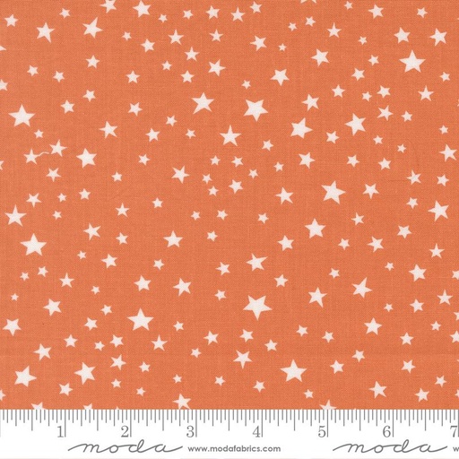 [39066 17] Purrs and Boos Stars Pumpkin