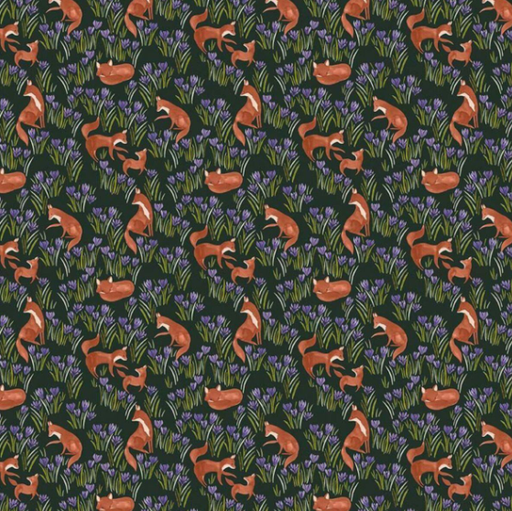 [ST-DFN3439MIDNIGHT] Midnight Crocus