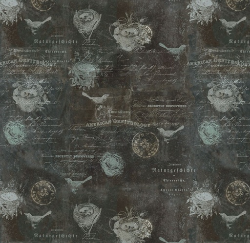 [Y4584-7] Harmony Birds Dark Gray