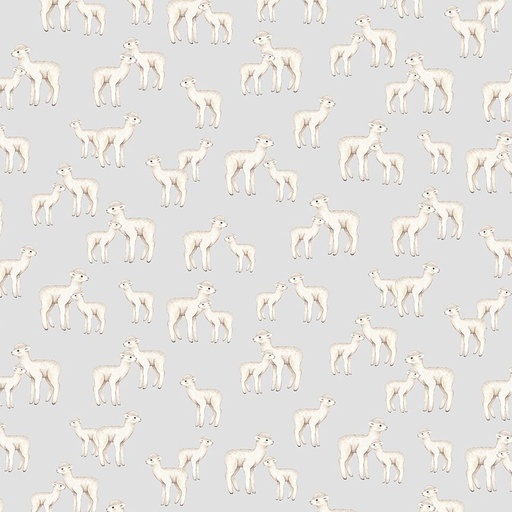 [STELLA-DNS3671-ASH] ABCs of Love Wooly Wonders