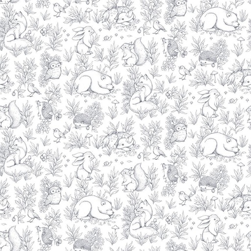 [STELLA-DNS3666-IRON] ABCs of Love Forest Whispers Iron