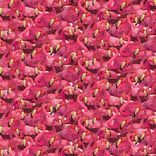 [NATURE-CD4558  FUCHSIA] Packed Flamingos
