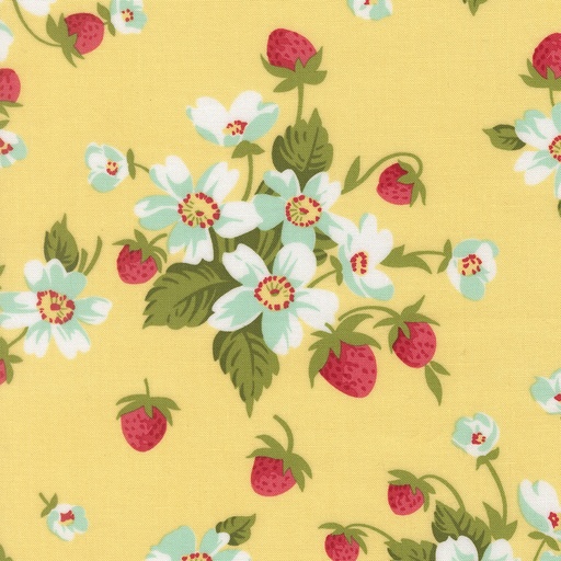 [55350 12] Bloomsberry Buttermilk