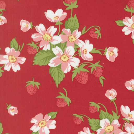 [55350 18] Bloomsberry Red