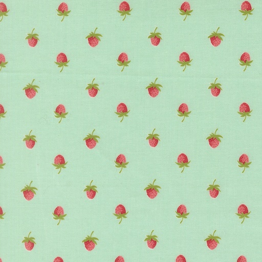 [55352 13] Bloomsberry Aqua