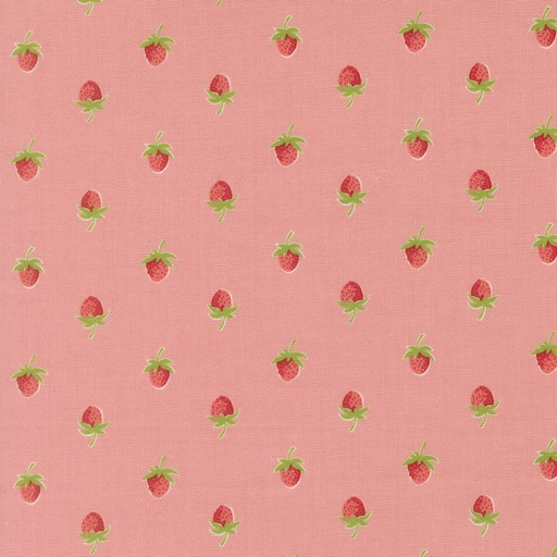 [55352 16] Bloomsberry Blush